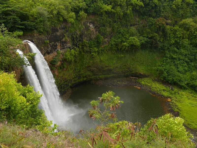 Click to See Next Image