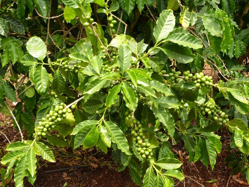 Click to See Next Image