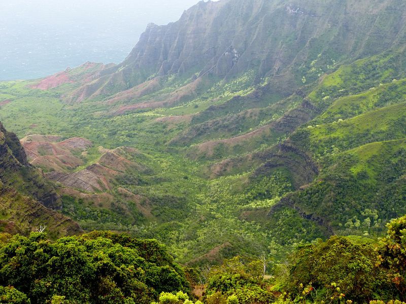 Click to See Next Image