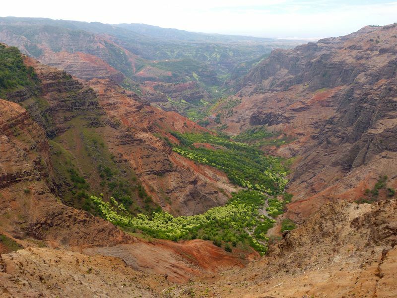 Click to See Next Image