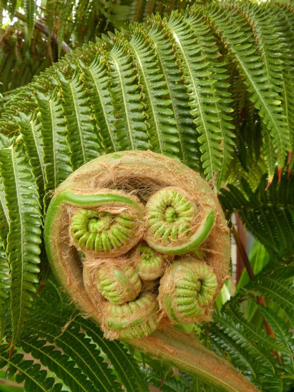 Click to See Next Image