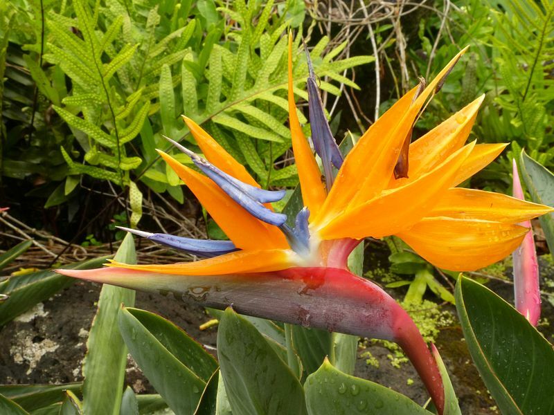 Click to See Next Image