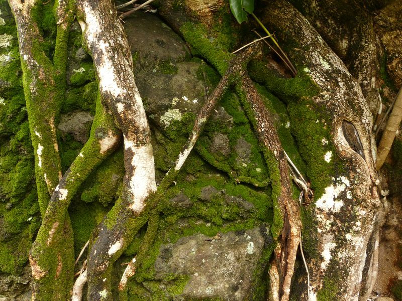 Click to See Next Image