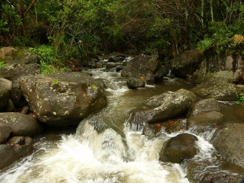 Click to See Next Image