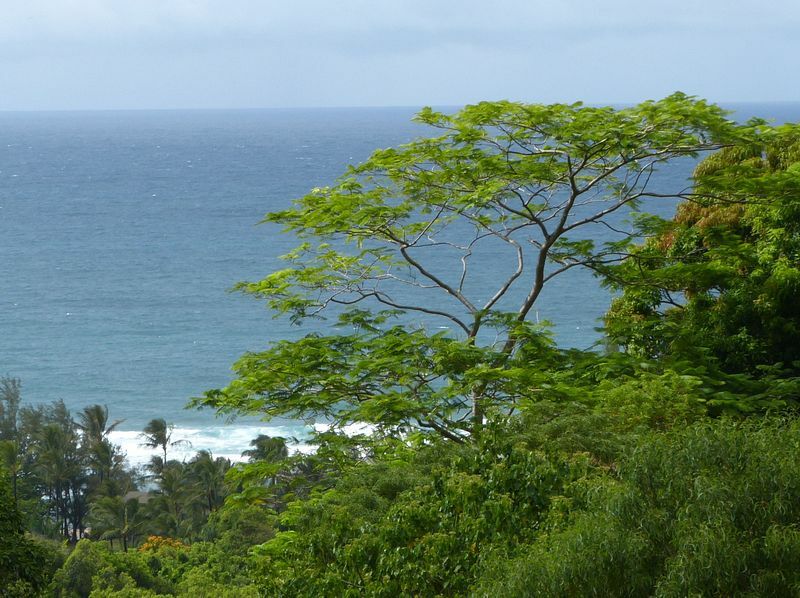 Click to See Next Image