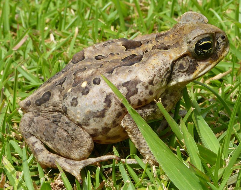 Click to See Next Image