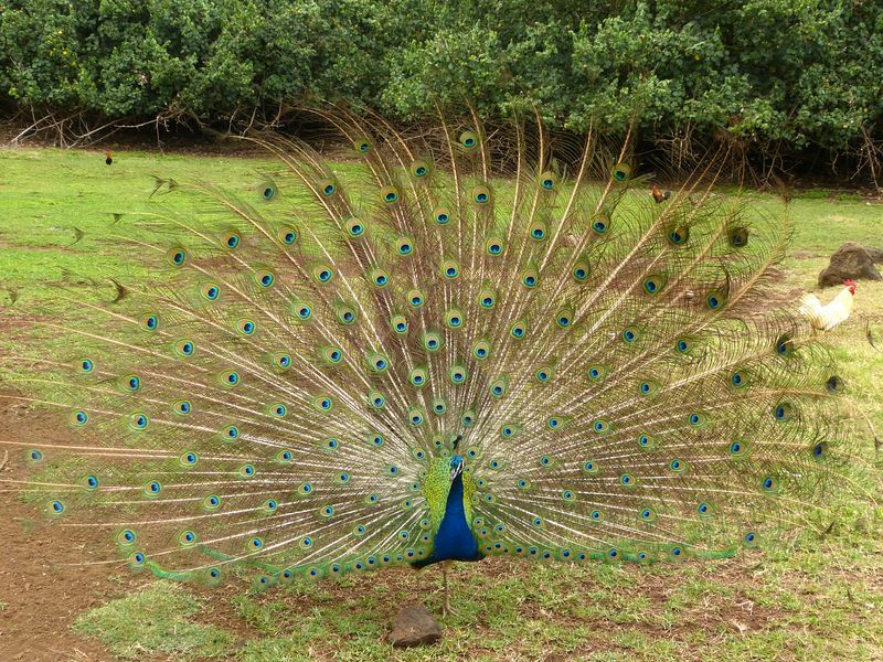 Click to See Next Image