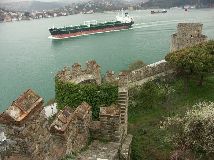 Click to See Next Image