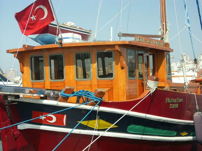 Click to See Next Image