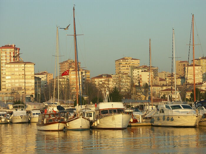 Click to See Next Image