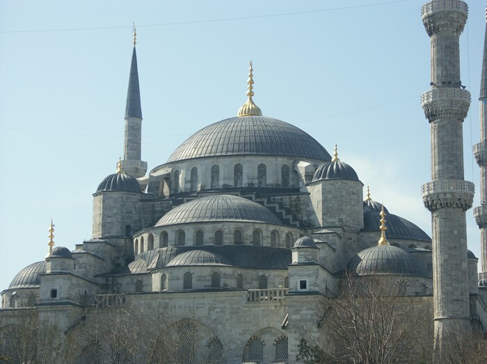 Click to See Next Image