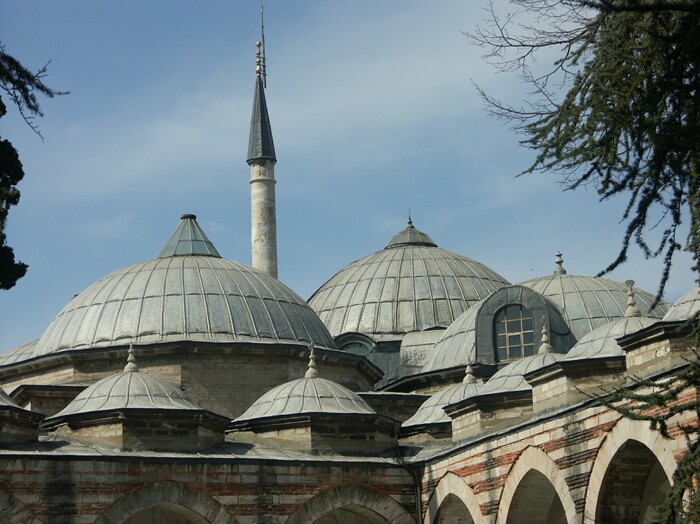 Click to See Next Image