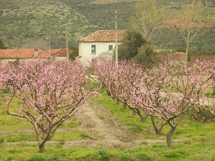 Click to See Next Image