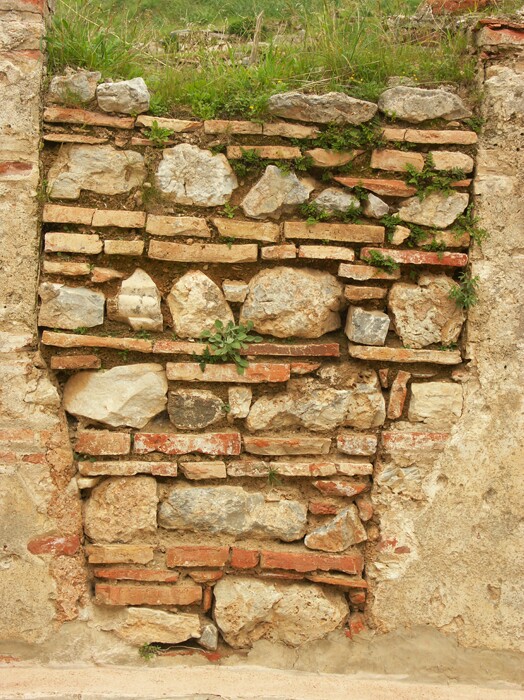 Click to See Next Image