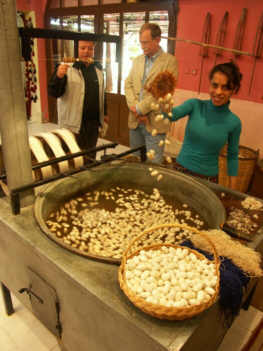 Click to See Next Image