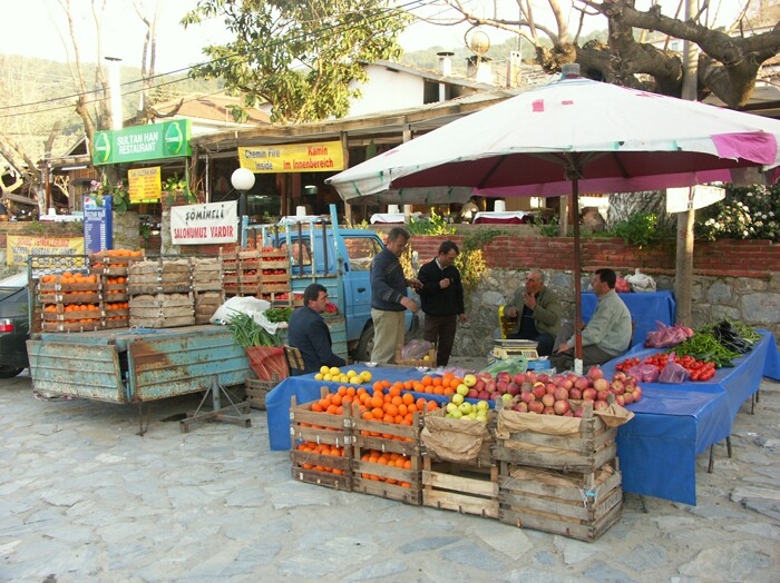 Click to See Next Image