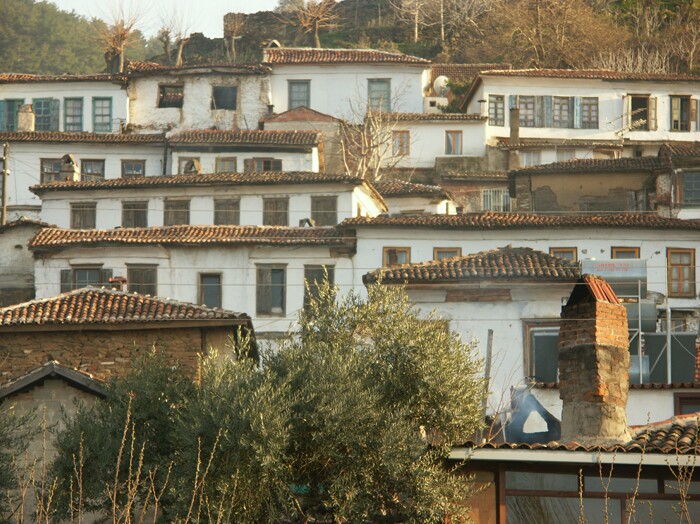 Click to See Next Image