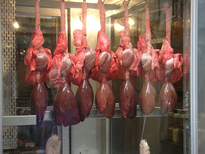 Click to See Next Image