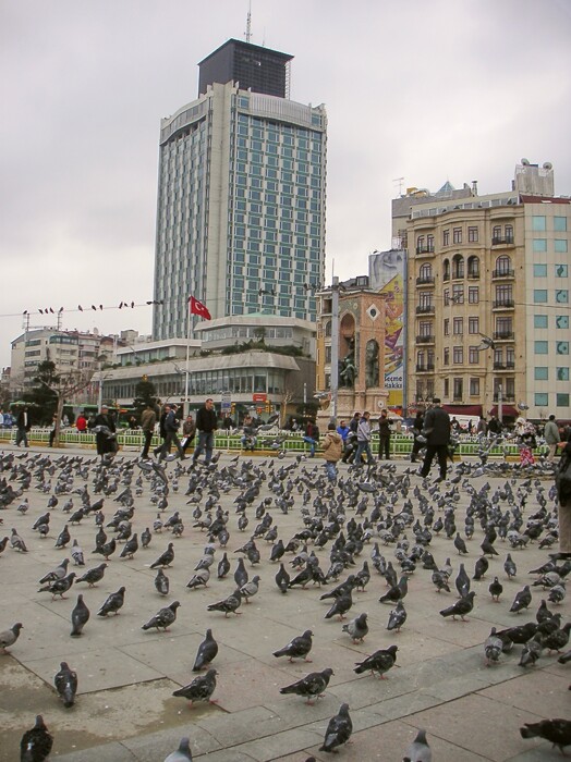 Click to See Next Image