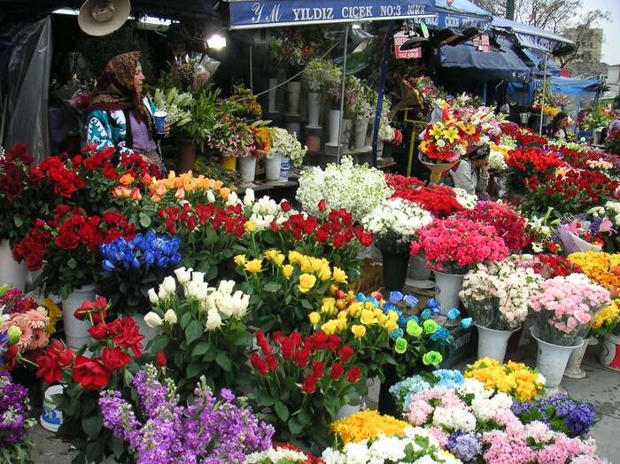 Click to See Next Image