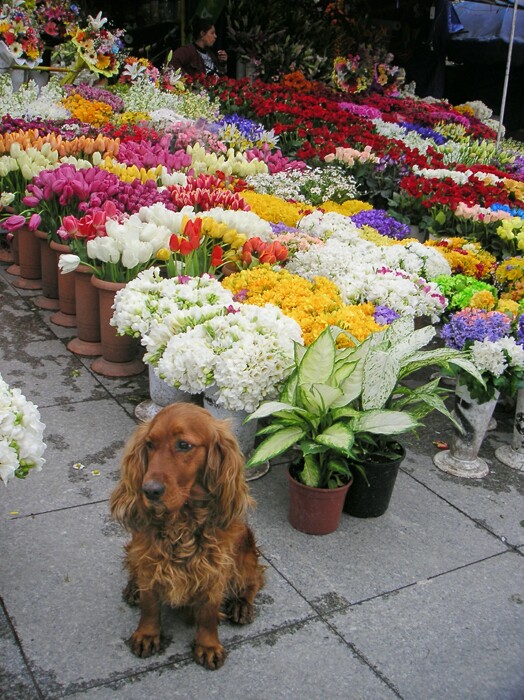 Click to See Next Image