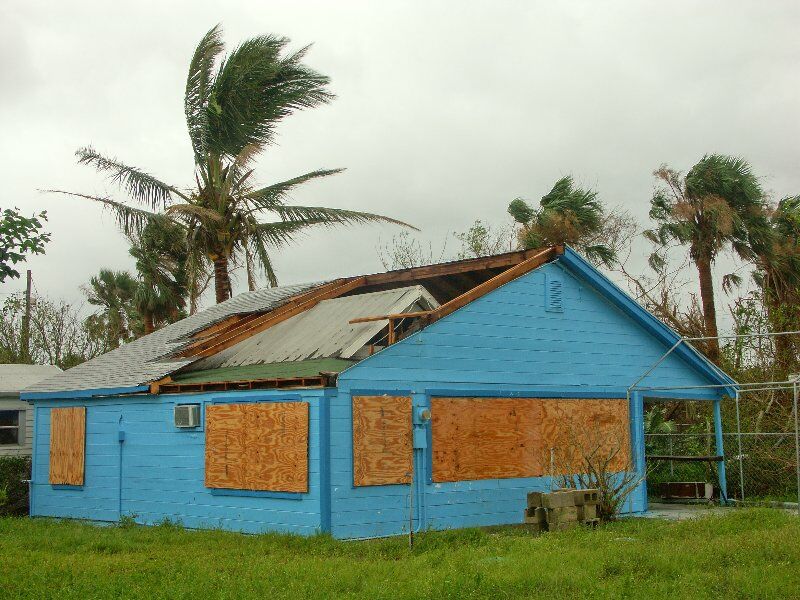 Click to See Next Image