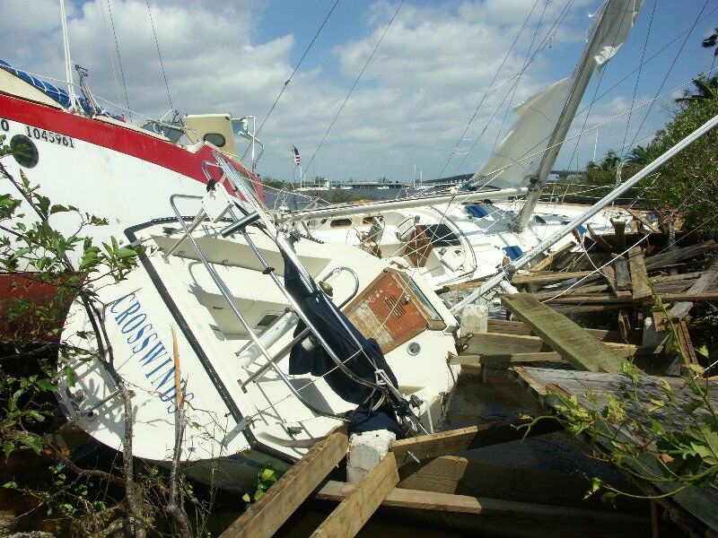 Click to See Next Image