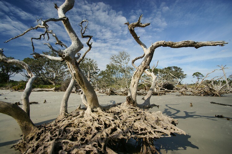 Click to See Next Image