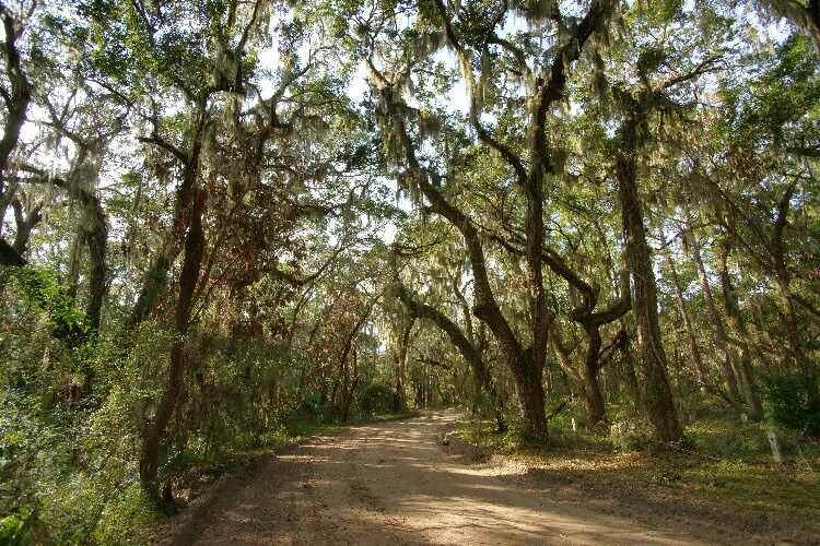 Click to See Next Image