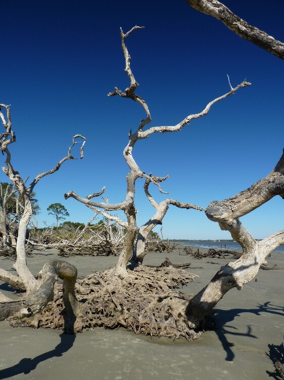 Click to See Next Image