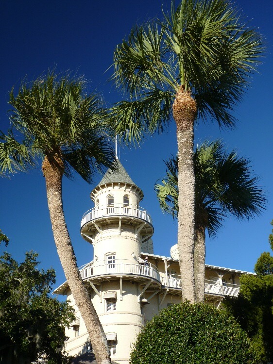 Click to See Next Image