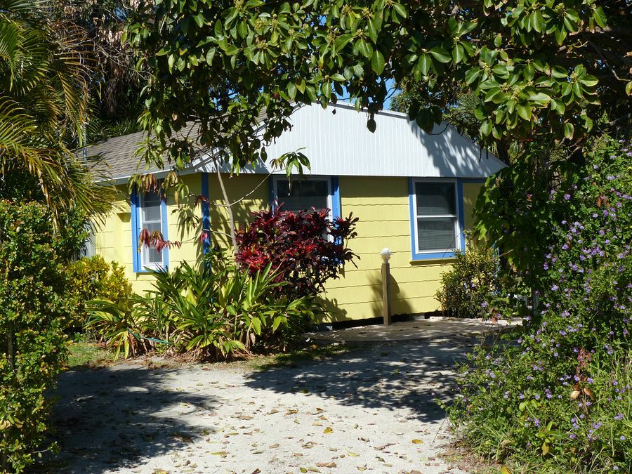 Click to See Next Image