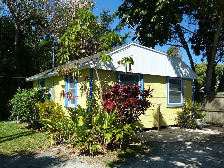 Click to See Next Image