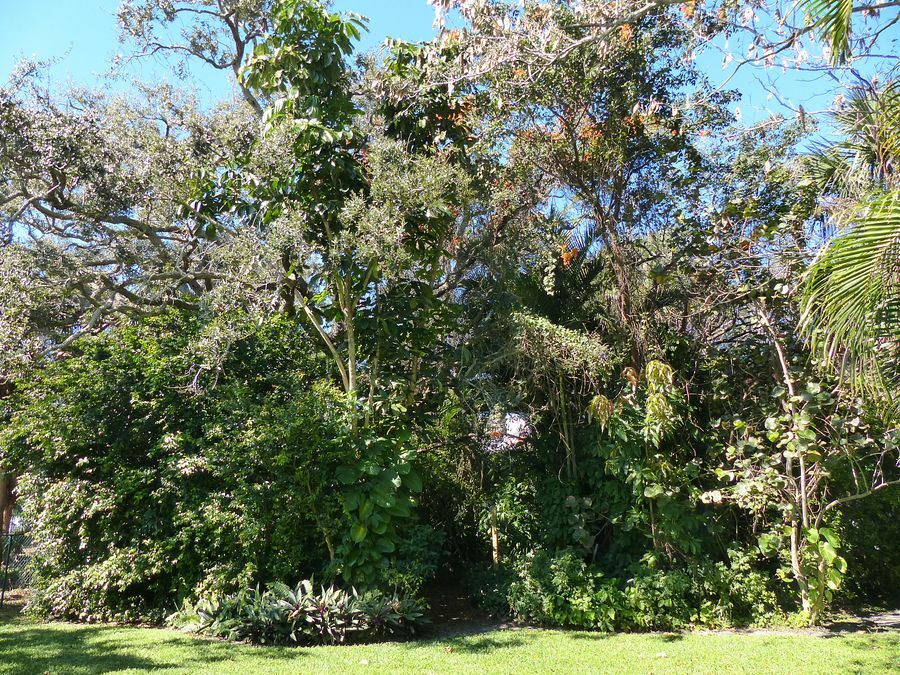 Click to See Next Image