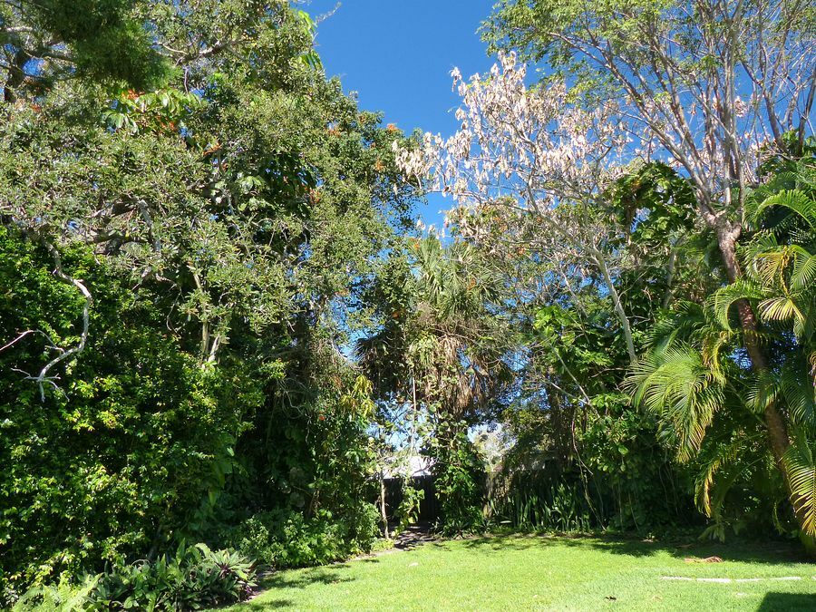 Click to See Next Image