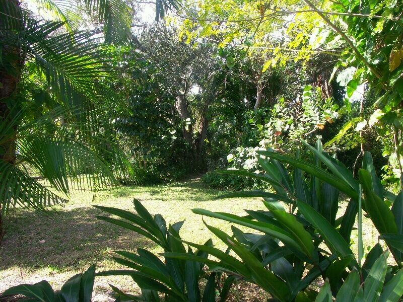 Click to See Next Image