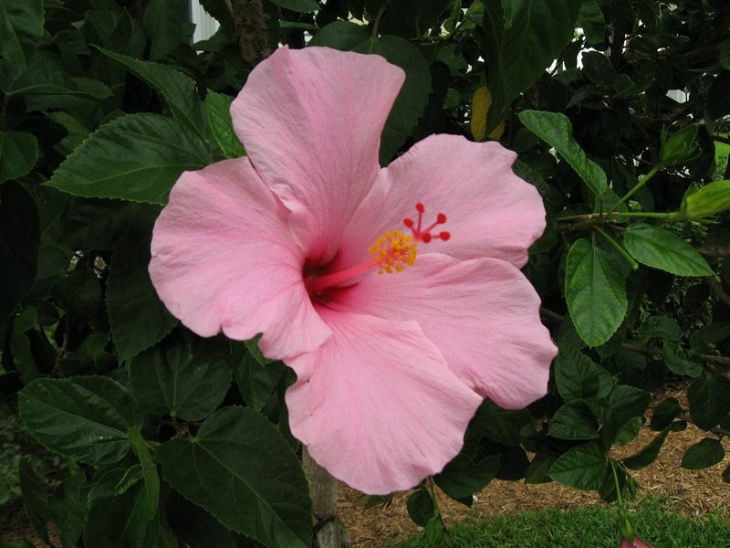 Click to See Next Image