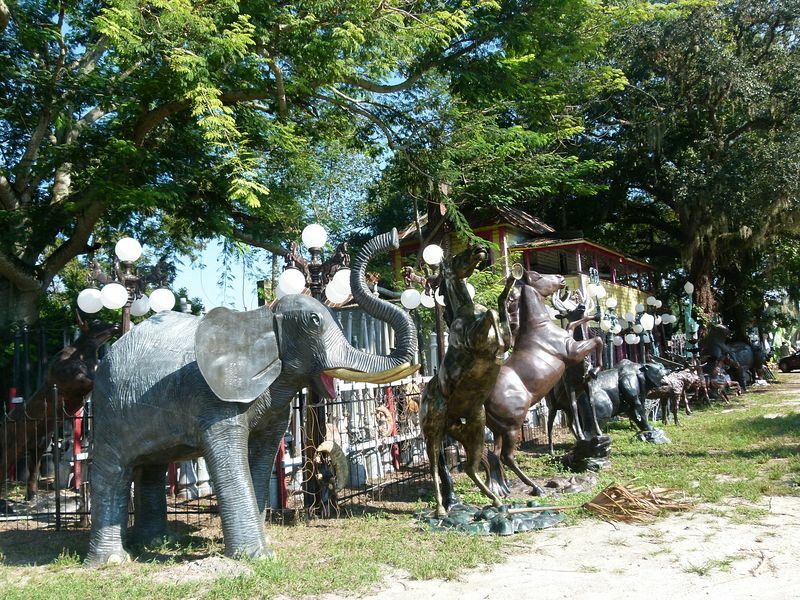 Click to See Next Image