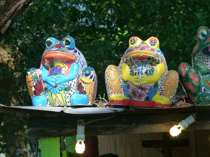 Click to See Next Image