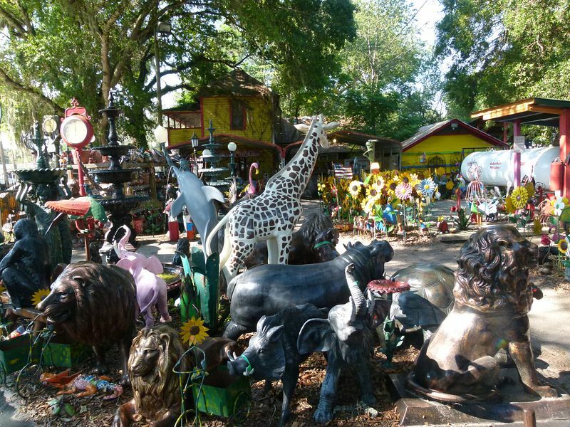 Click to See Next Image