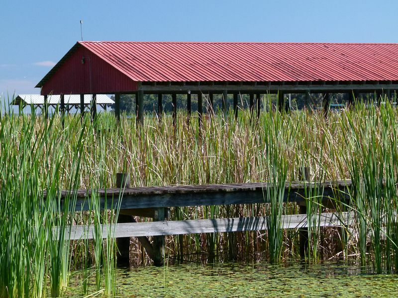 Click to See Next Image