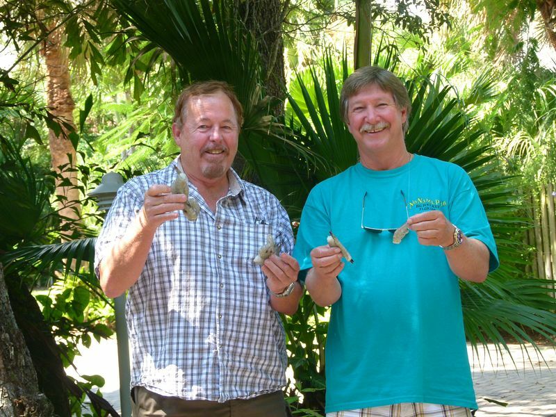 Click to See Next Image