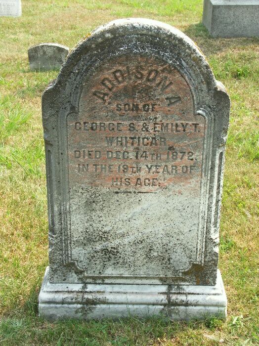 Click to See Next Image