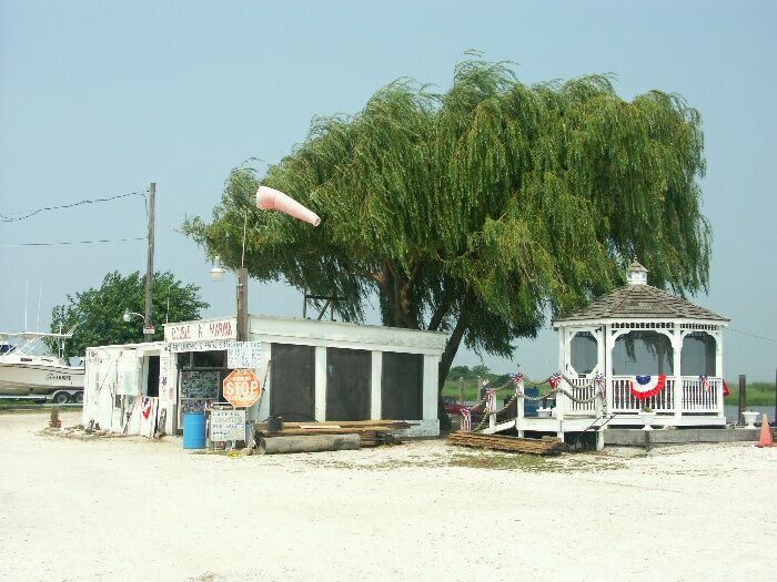 Click to See Next Image