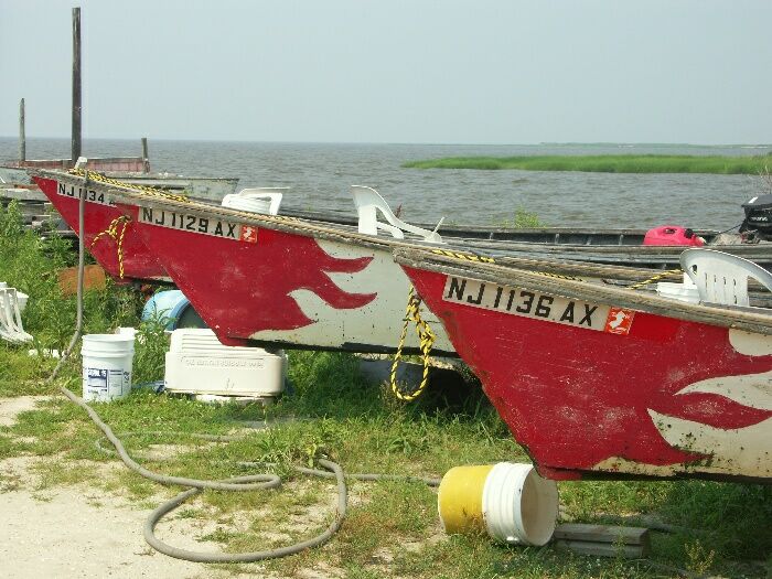 Click to See Next Image