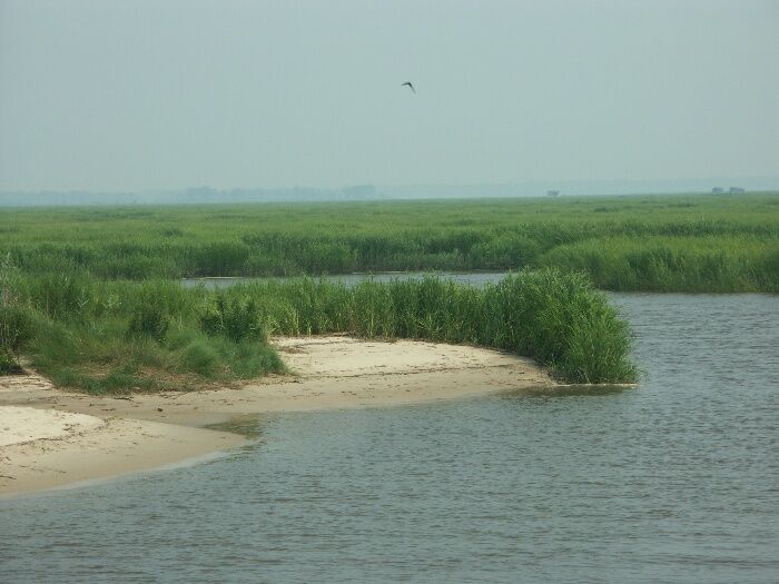 Click to See Next Image