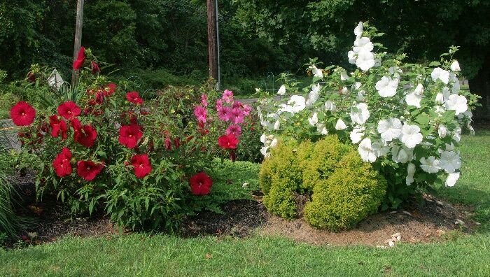 Click to See Next Image