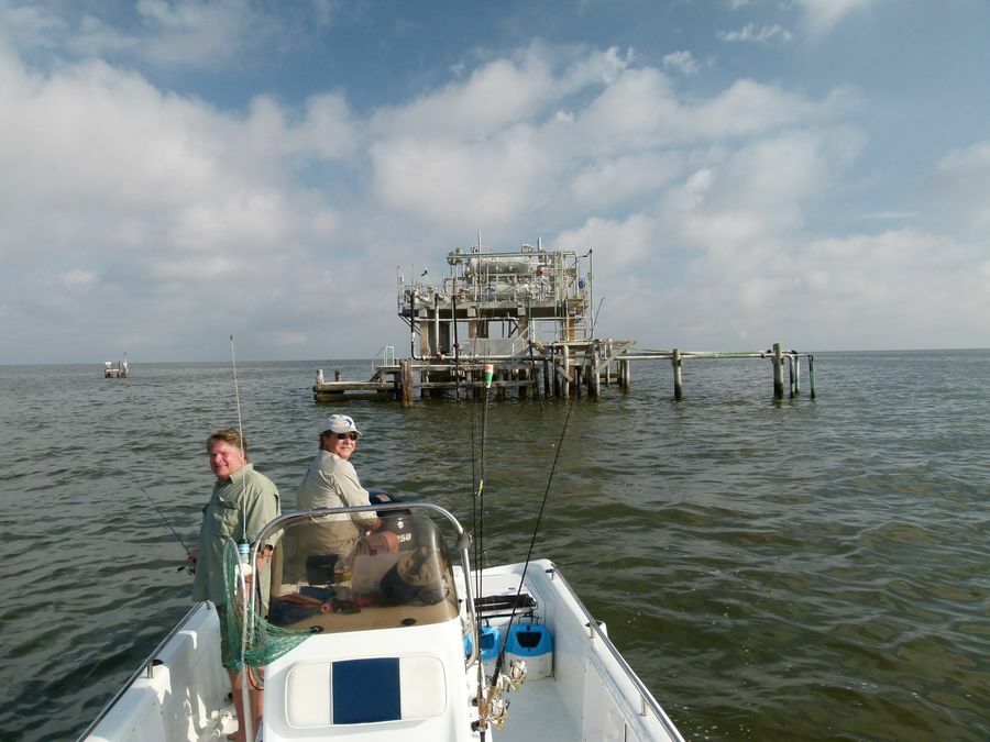 Click to See Next Image