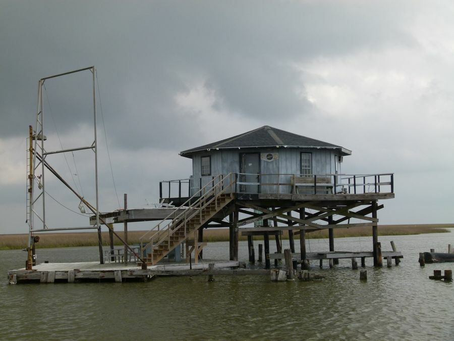 Click to See Next Image