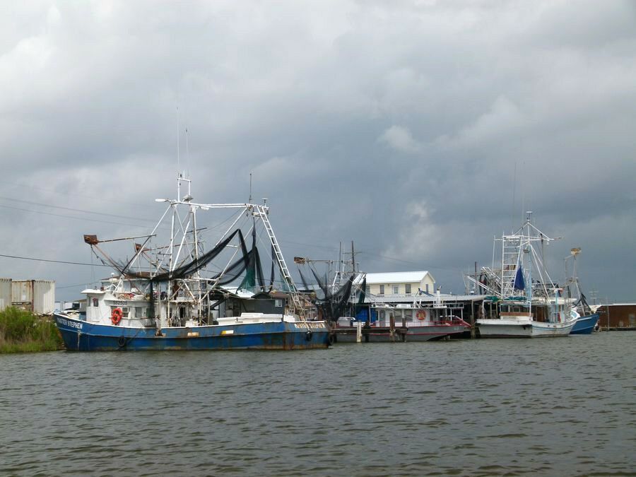 Click to See Next Image